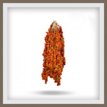 Dolmalık Biber Kurusu (tatlı)