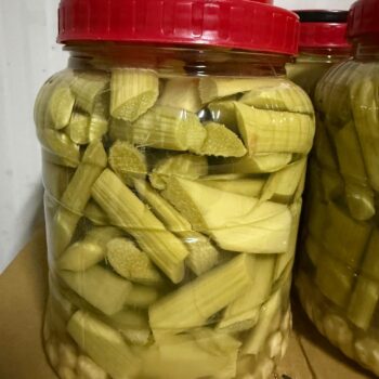 Işkın Turşusu 2 Kg